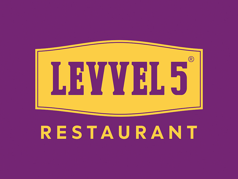 LEVVEL 5
